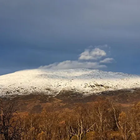 Kvaloya, I Hakoybotn * Tromso